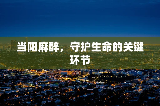 当阳麻醉，守护生命的关键环节
