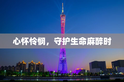 心怀怜悯，守护生命麻醉时