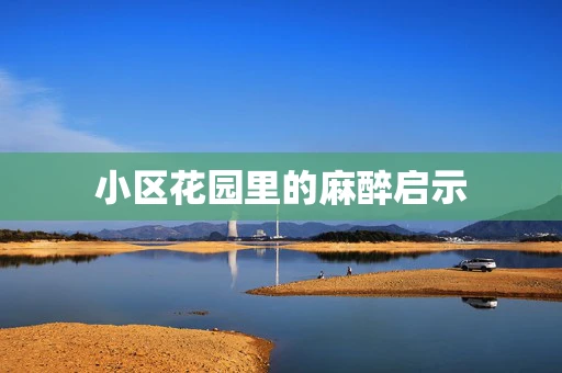 小区花园里的麻醉启示