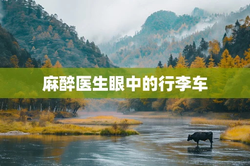 麻醉医生眼中的行李车