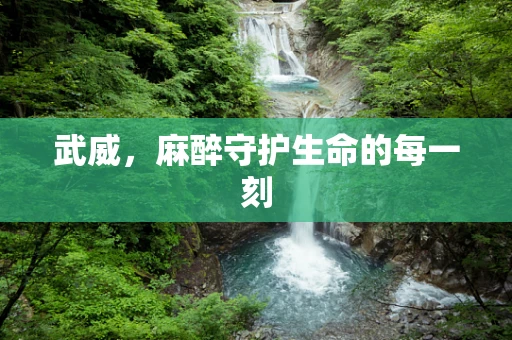 武威，麻醉守护生命的每一刻