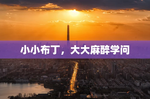 小小布丁，大大麻醉学问