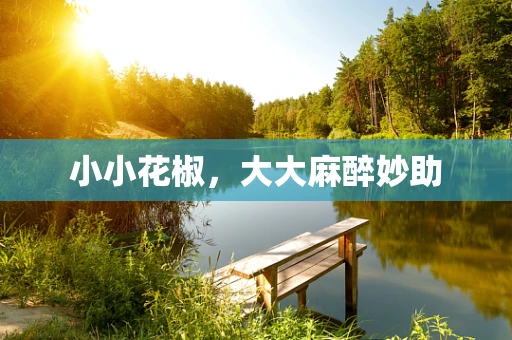 小小花椒，大大麻醉妙助