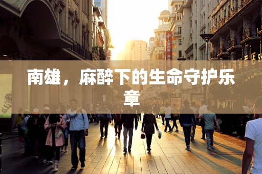 南雄，麻醉下的生命守护乐章