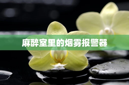 麻醉室里的烟雾报警器