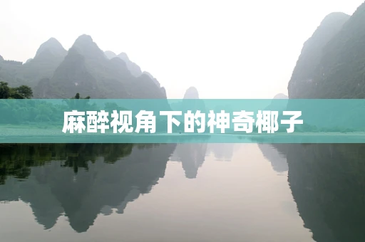 麻醉视角下的神奇椰子
