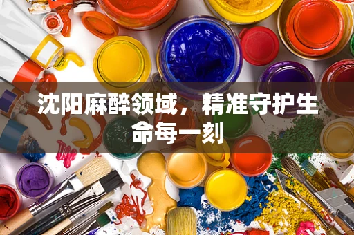 沈阳麻醉领域，精准守护生命每一刻