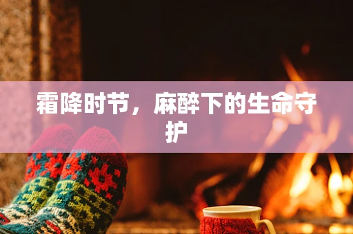 霜降时节，麻醉下的生命守护