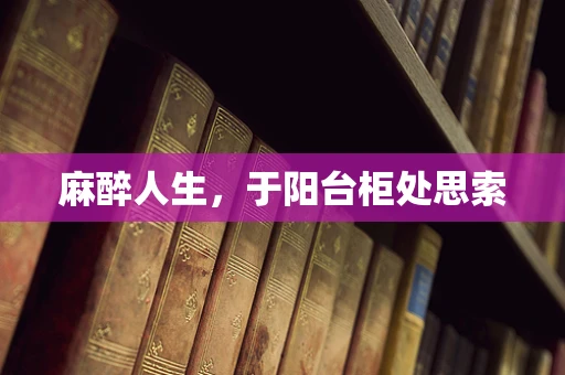 麻醉人生，于阳台柜处思索