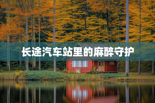 长途汽车站里的麻醉守护