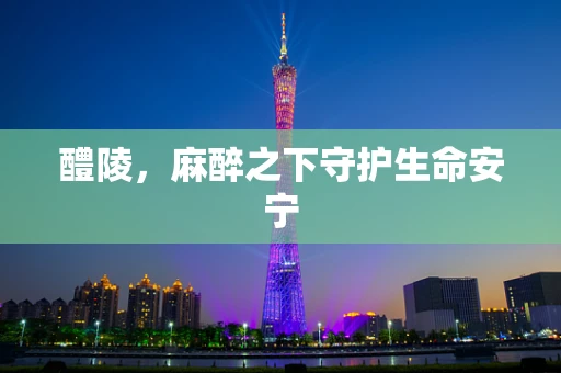 醴陵，麻醉之下守护生命安宁