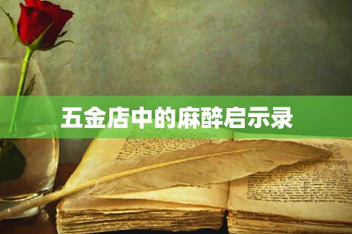 五金店中的麻醉启示录