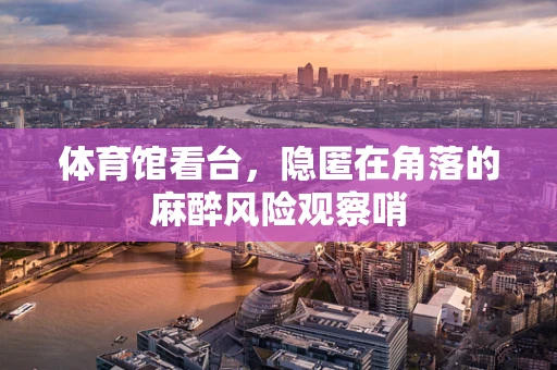 体育馆看台，隐匿在角落的麻醉风险观察哨