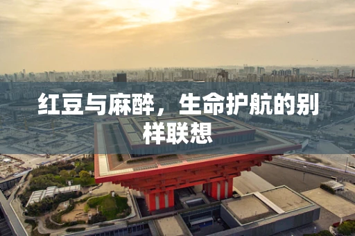 红豆与麻醉，生命护航的别样联想