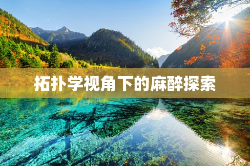 拓扑学视角下的麻醉探索