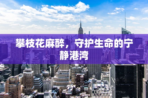 攀枝花麻醉，守护生命的宁静港湾