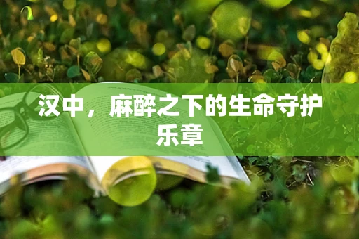 汉中，麻醉之下的生命守护乐章