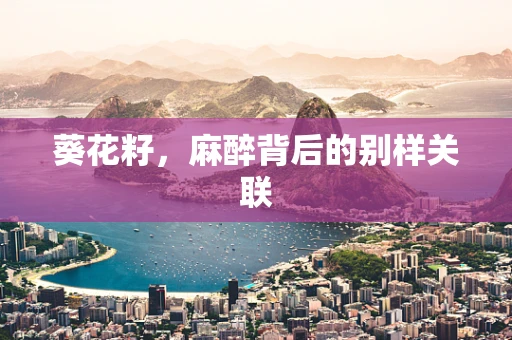 葵花籽，麻醉背后的别样关联