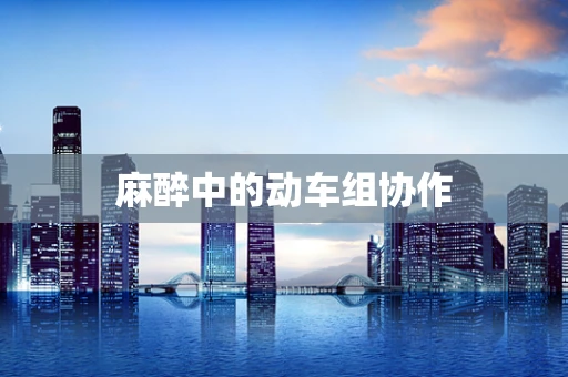 麻醉中的动车组协作