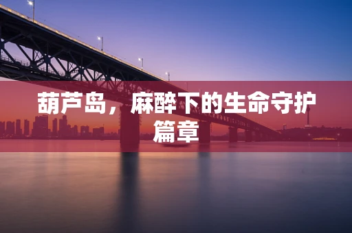葫芦岛，麻醉下的生命守护篇章