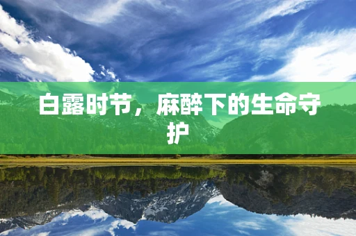 白露时节，麻醉下的生命守护