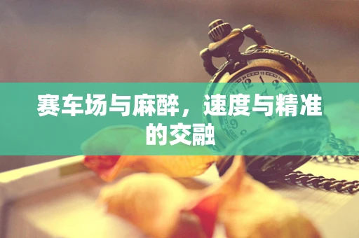 赛车场与麻醉，速度与精准的交融