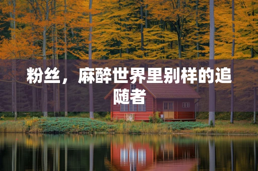 粉丝，麻醉世界里别样的追随者