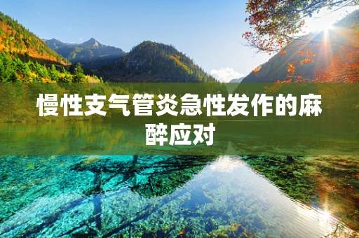 慢性支气管炎急性发作的麻醉应对