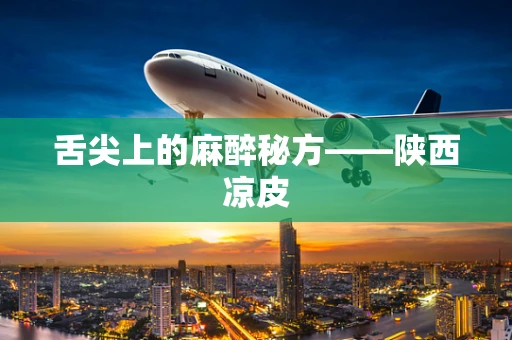 舌尖上的麻醉秘方——陕西凉皮