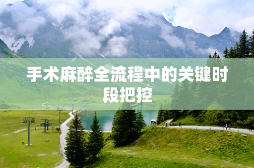 手术麻醉全流程中的关键时段把控