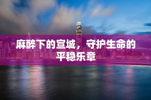 麻醉下的宣城，守护生命的平稳乐章