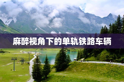 麻醉视角下的单轨铁路车辆
