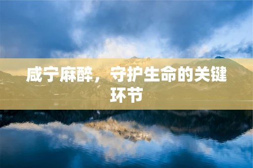 咸宁麻醉，守护生命的关键环节