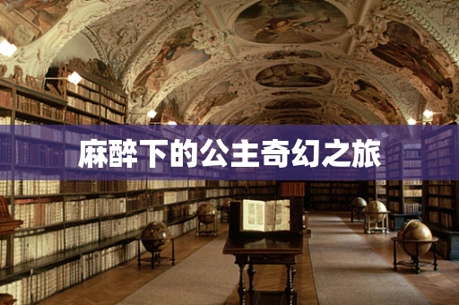 麻醉下的公主奇幻之旅