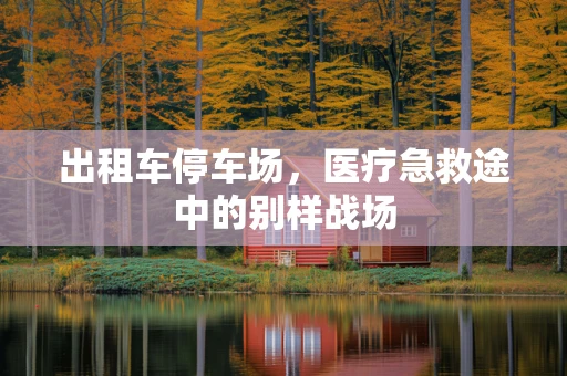出租车停车场，医疗急救途中的别样战场