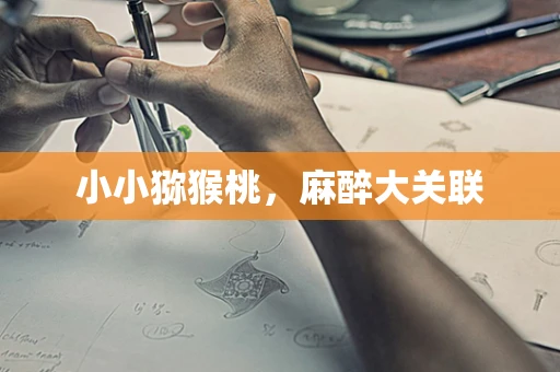 小小猕猴桃，麻醉大关联