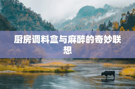 厨房调料盒与麻醉的奇妙联想