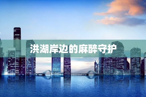 洪湖岸边的麻醉守护
