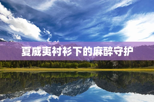 夏威夷衬衫下的麻醉守护