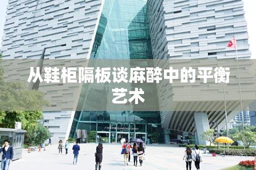从鞋柜隔板谈麻醉中的平衡艺术