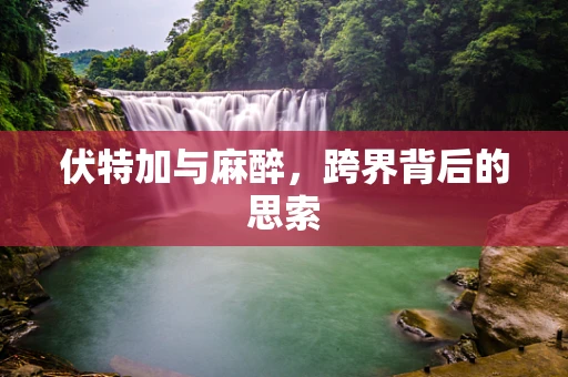 伏特加与麻醉，跨界背后的思索