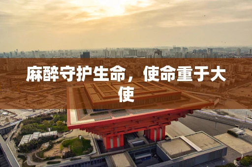 麻醉守护生命，使命重于大使