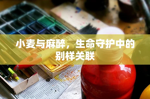 小麦与麻醉，生命守护中的别样关联