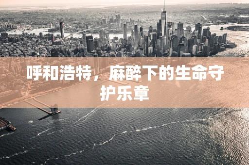 呼和浩特，麻醉下的生命守护乐章