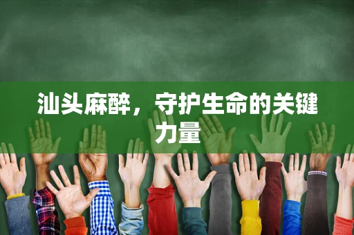 汕头麻醉，守护生命的关键力量