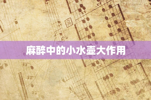 麻醉中的小水壶大作用