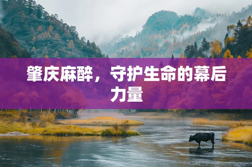 肇庆麻醉，守护生命的幕后力量