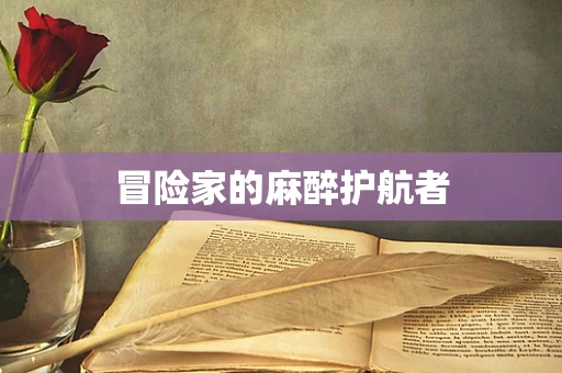 冒险家的麻醉护航者