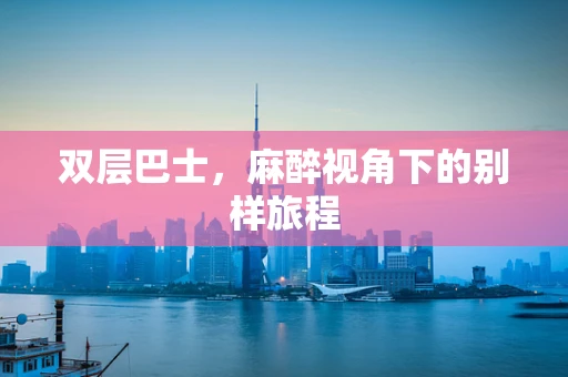双层巴士，麻醉视角下的别样旅程